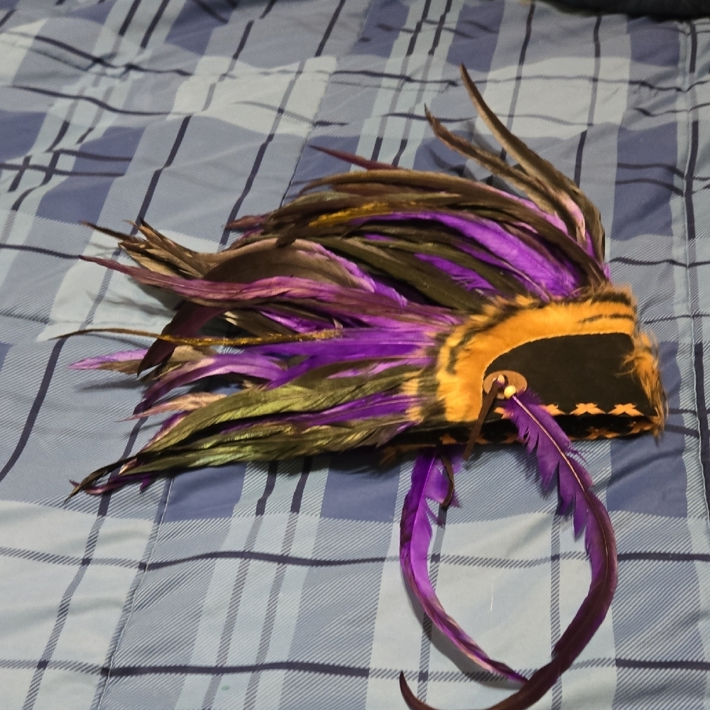 Colorful Feathered Headpiece